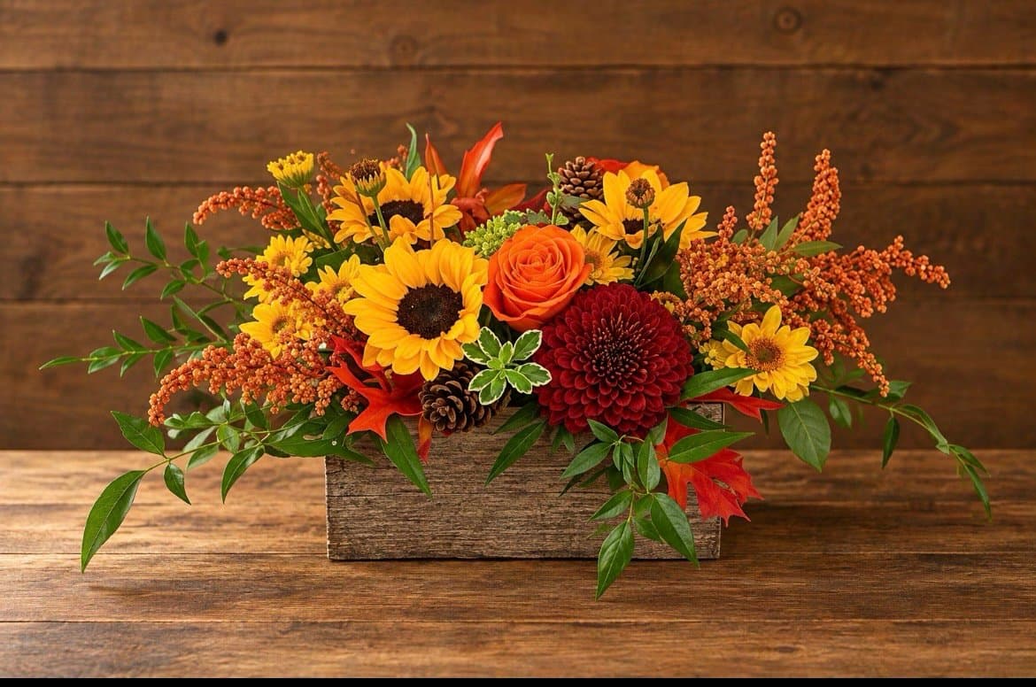 Farmhouse Sunshine